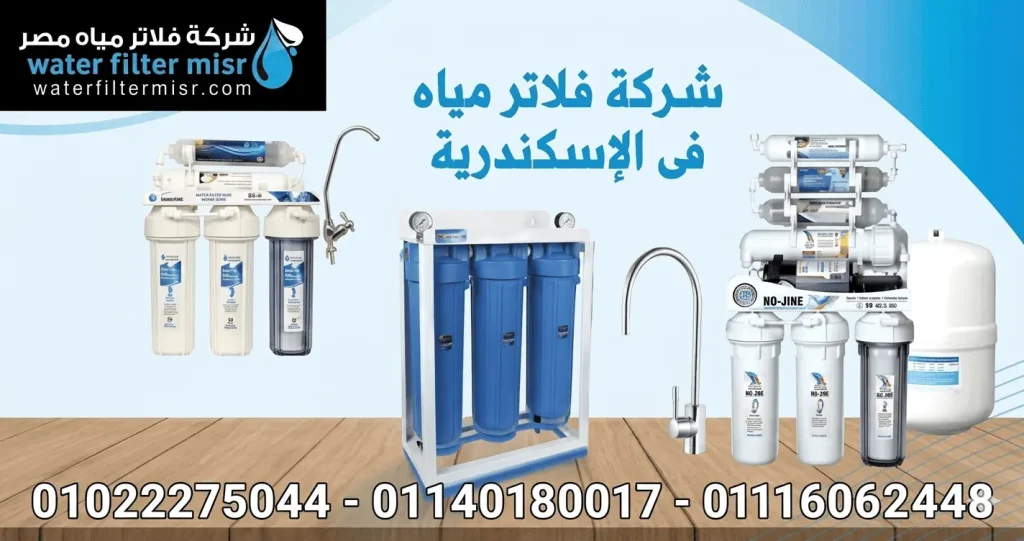 شركة فلاتر مياه بالاسكندرية: قرارك بين الندم والاطمئنان يبدأ من هذا الفهم